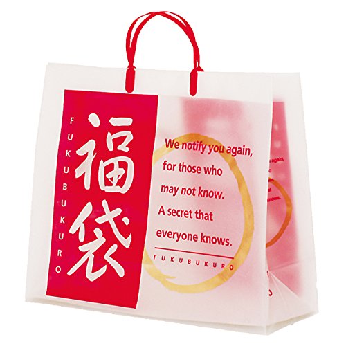 Amazon.co.jp: ギフトバック フロスト 福袋-L(10枚) FU-2B : 文房具